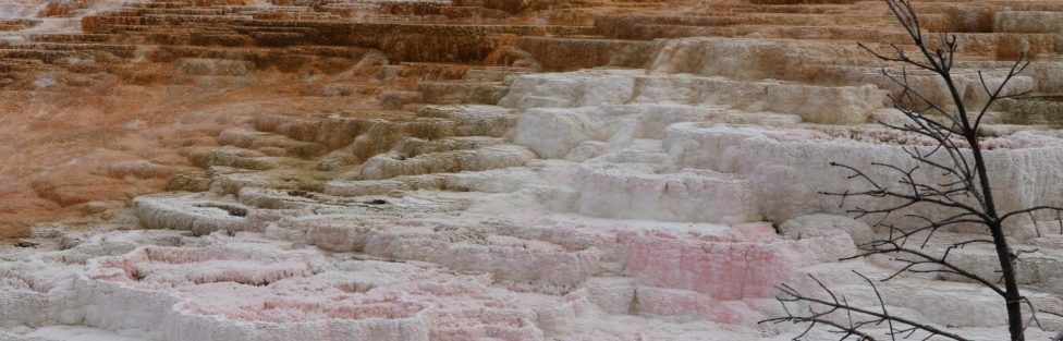 Beautiful and Bizarre – Yellowstone National Park